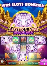Casino Ao Vivo 85f
